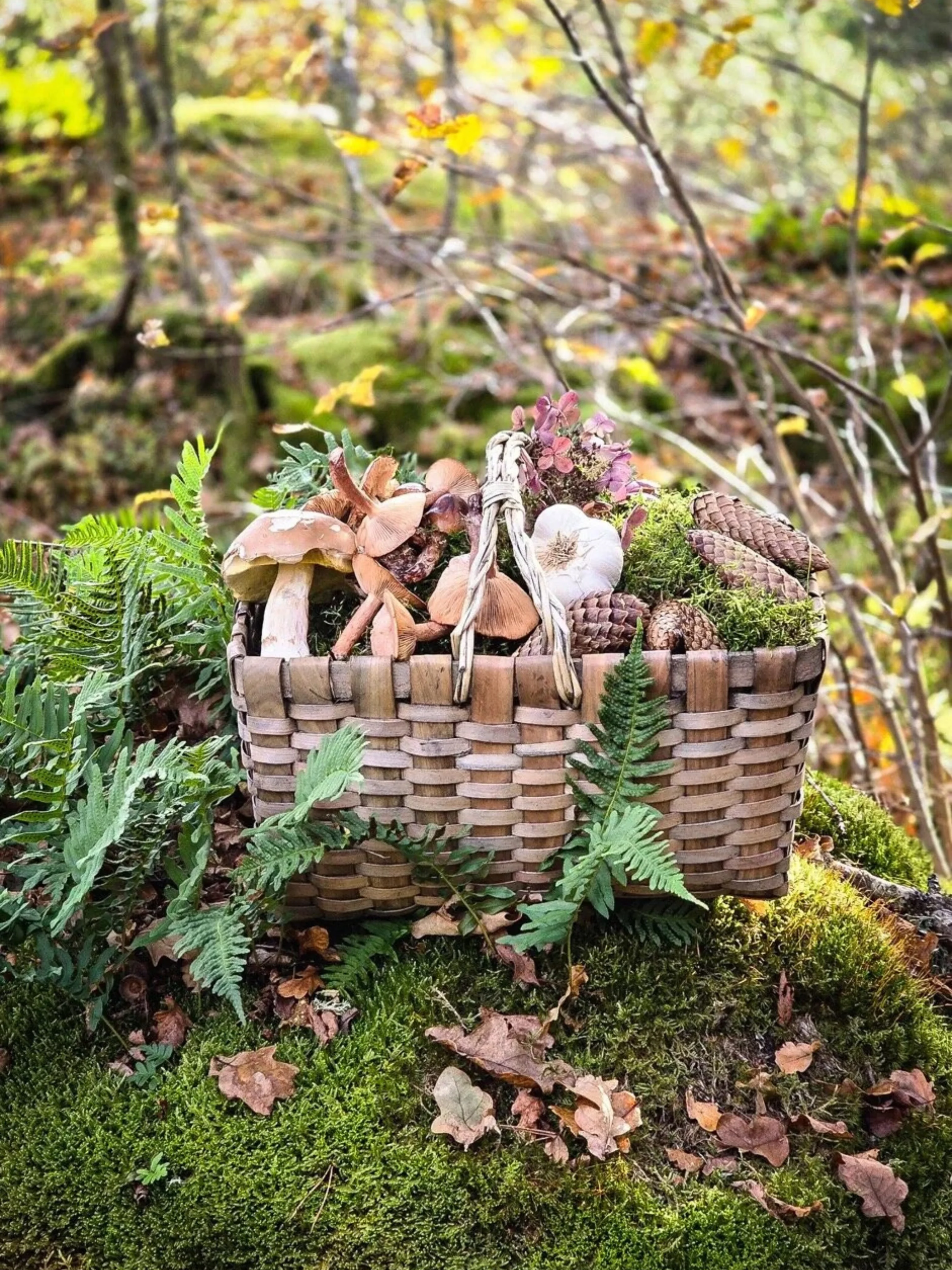 Rieten oogstmandje - Image 3