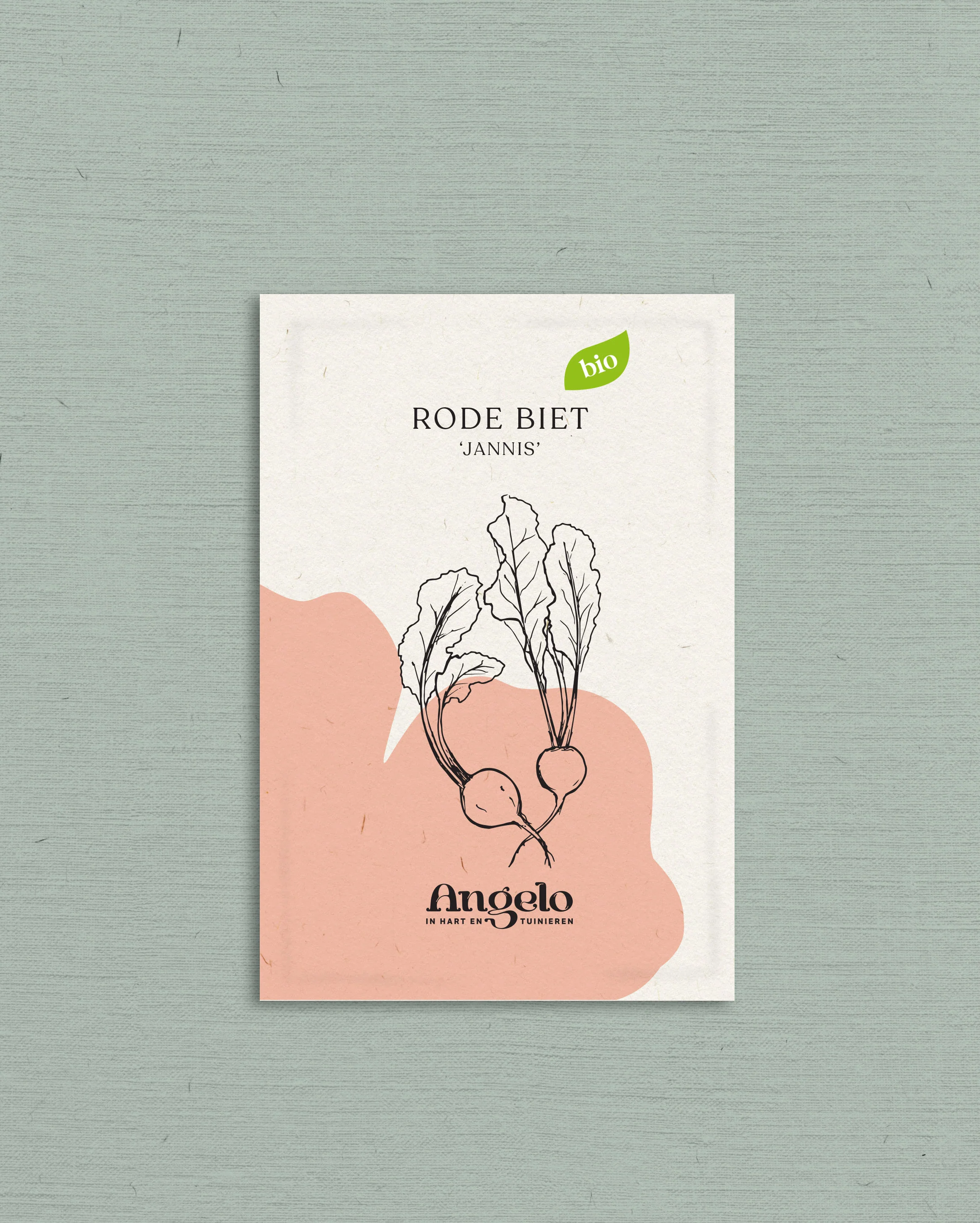 Rode biet 'Jannis' - Image 2