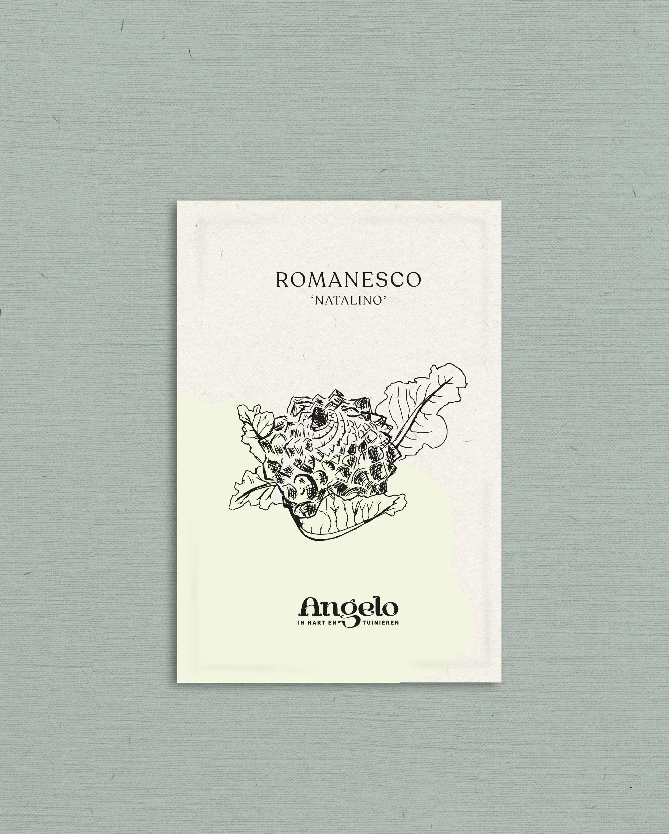 Romanesco 'Natalino' - Image 2