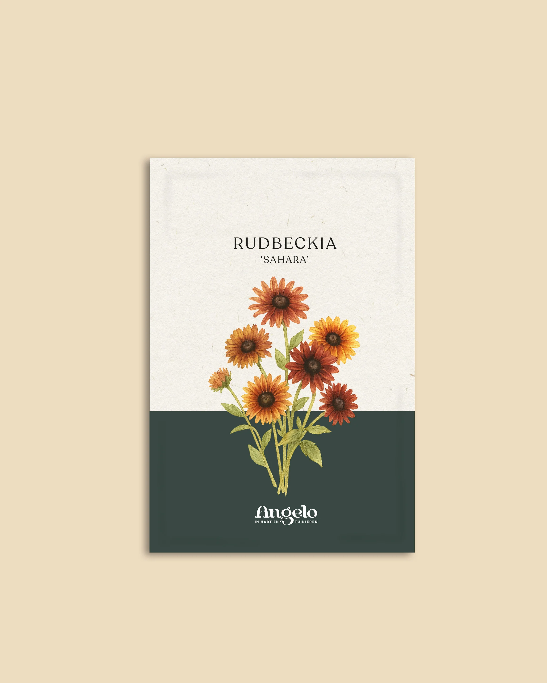 Miniatuur 2