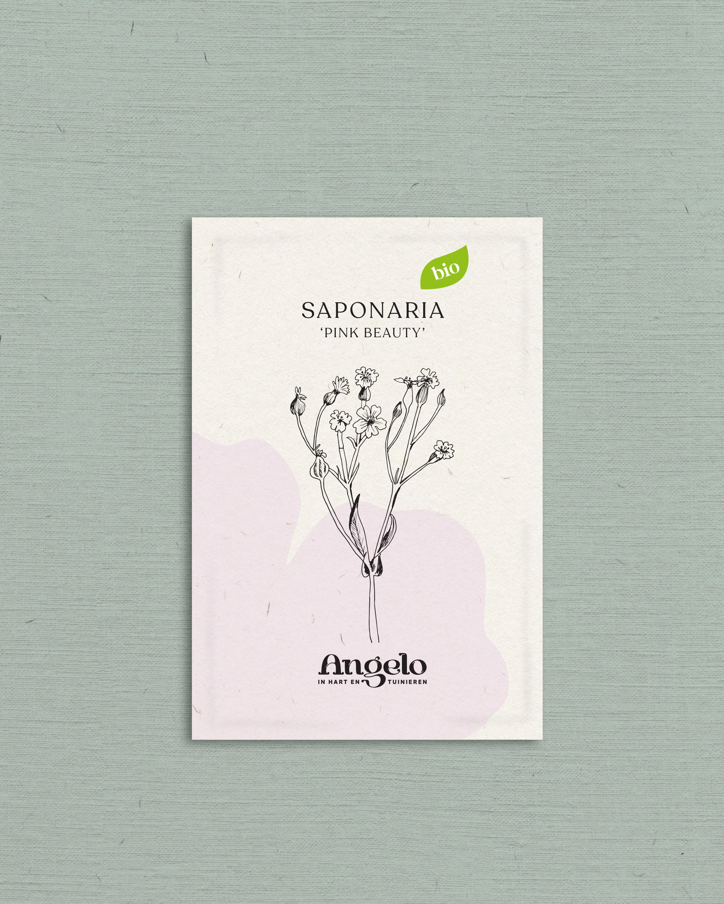 Miniatuur 2