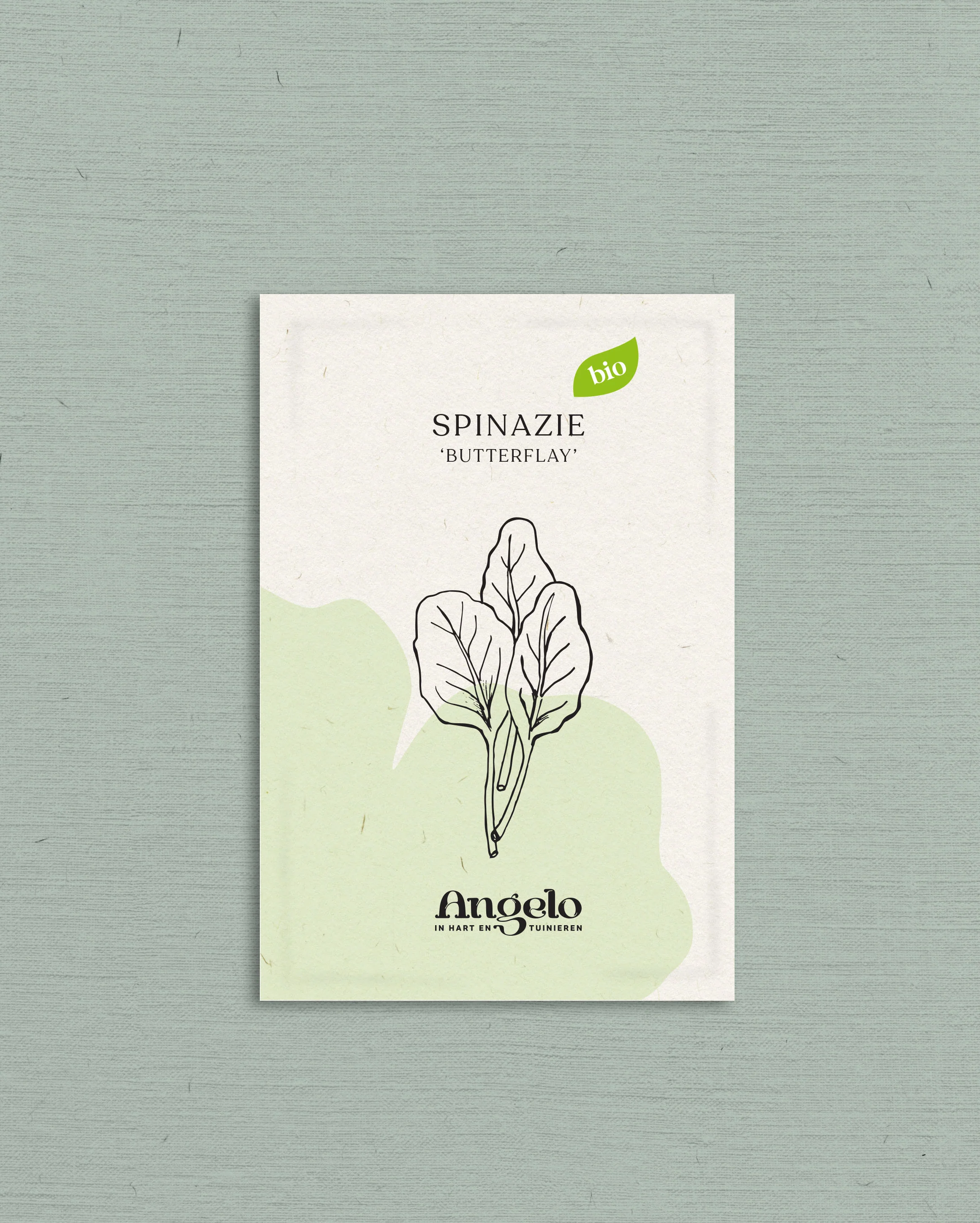 Spinazie 'Butterflay' - Image 2