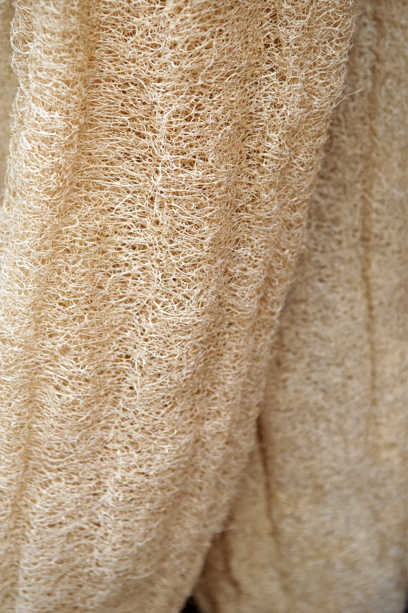 Sponskomkommer 'Luffa' - Image 3