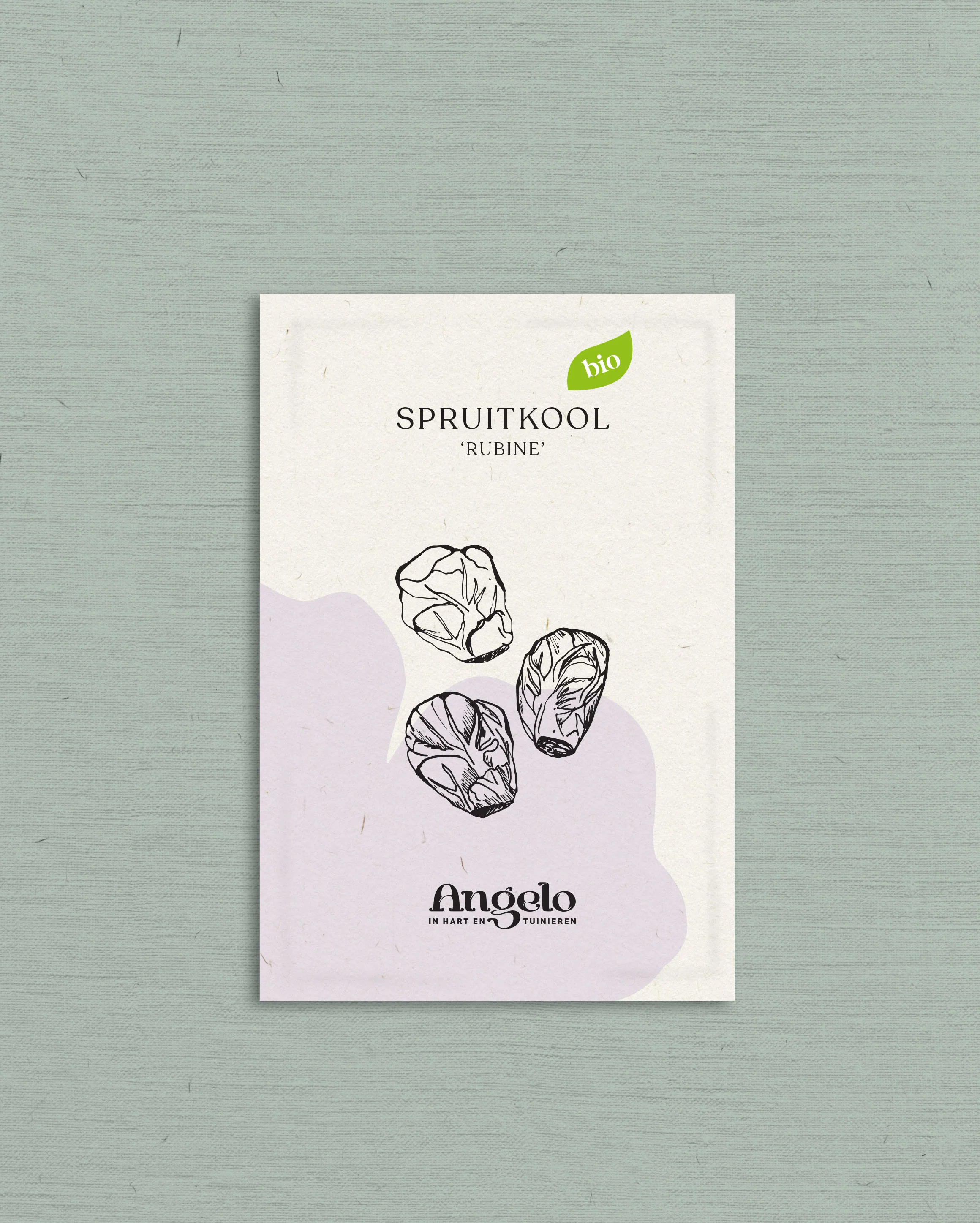 Spruitkool 'Rubine' - Image 2