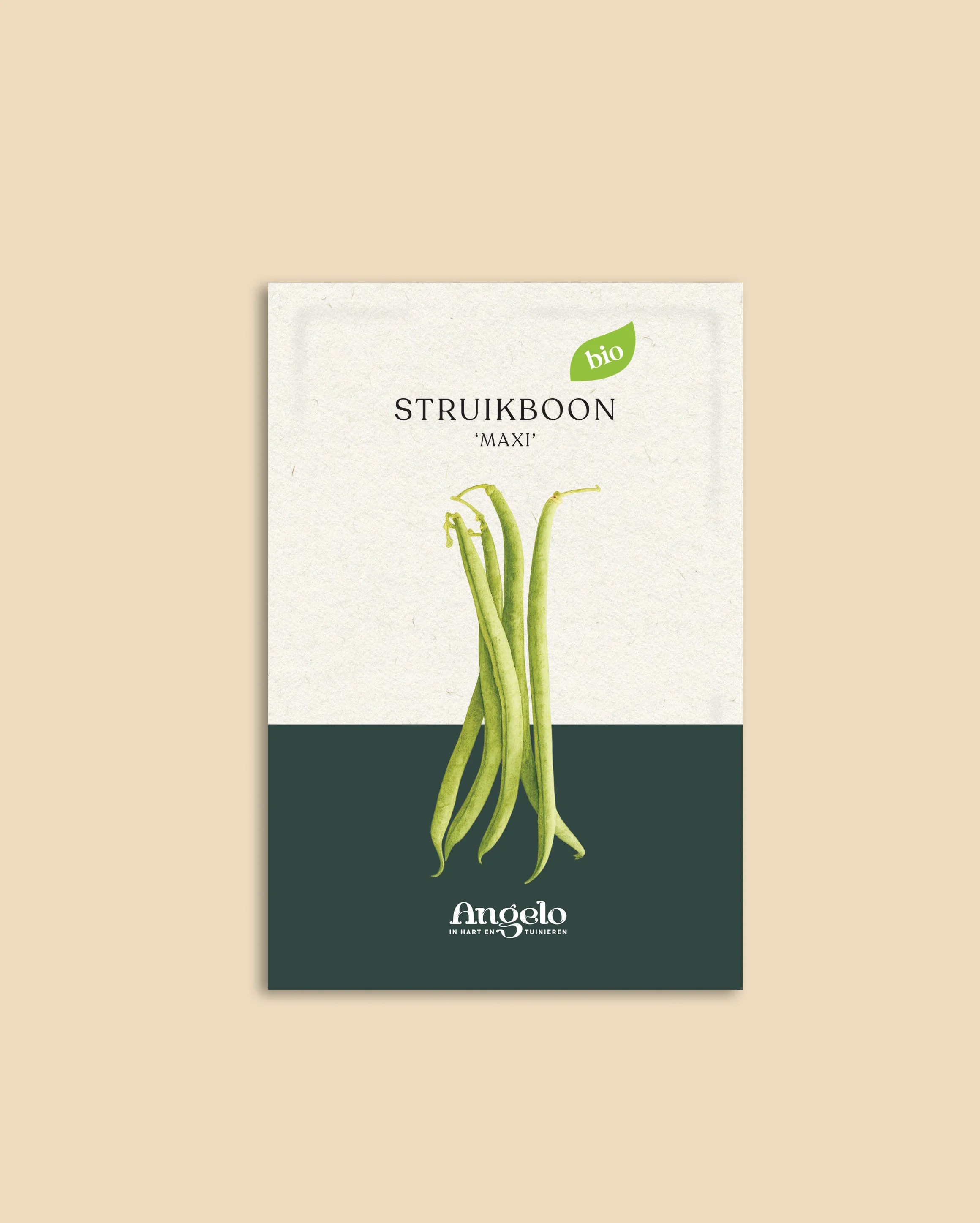 Struikboon 'Maxi' - Image 2