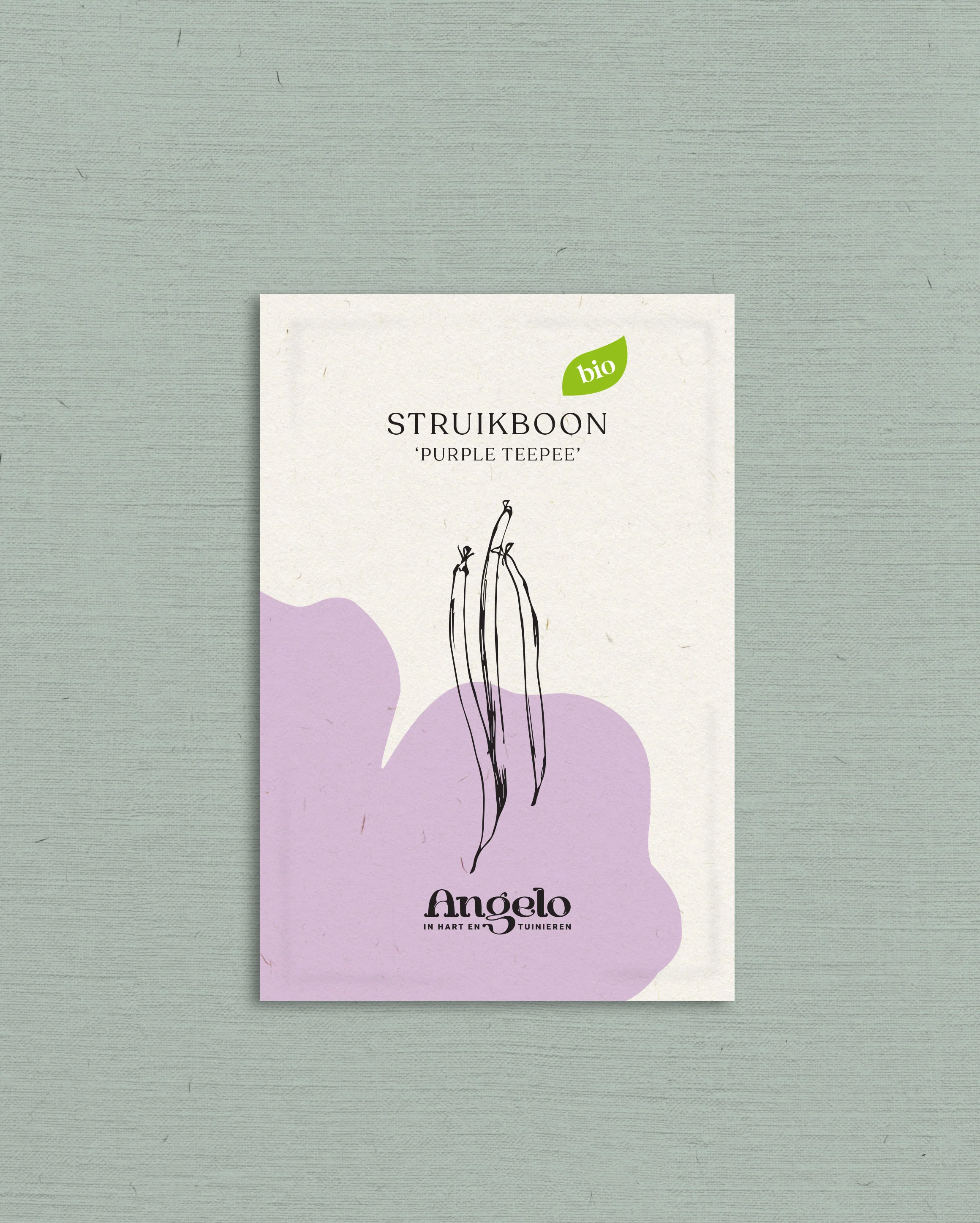 Struikboon 'Purple Teepee' - Image 2