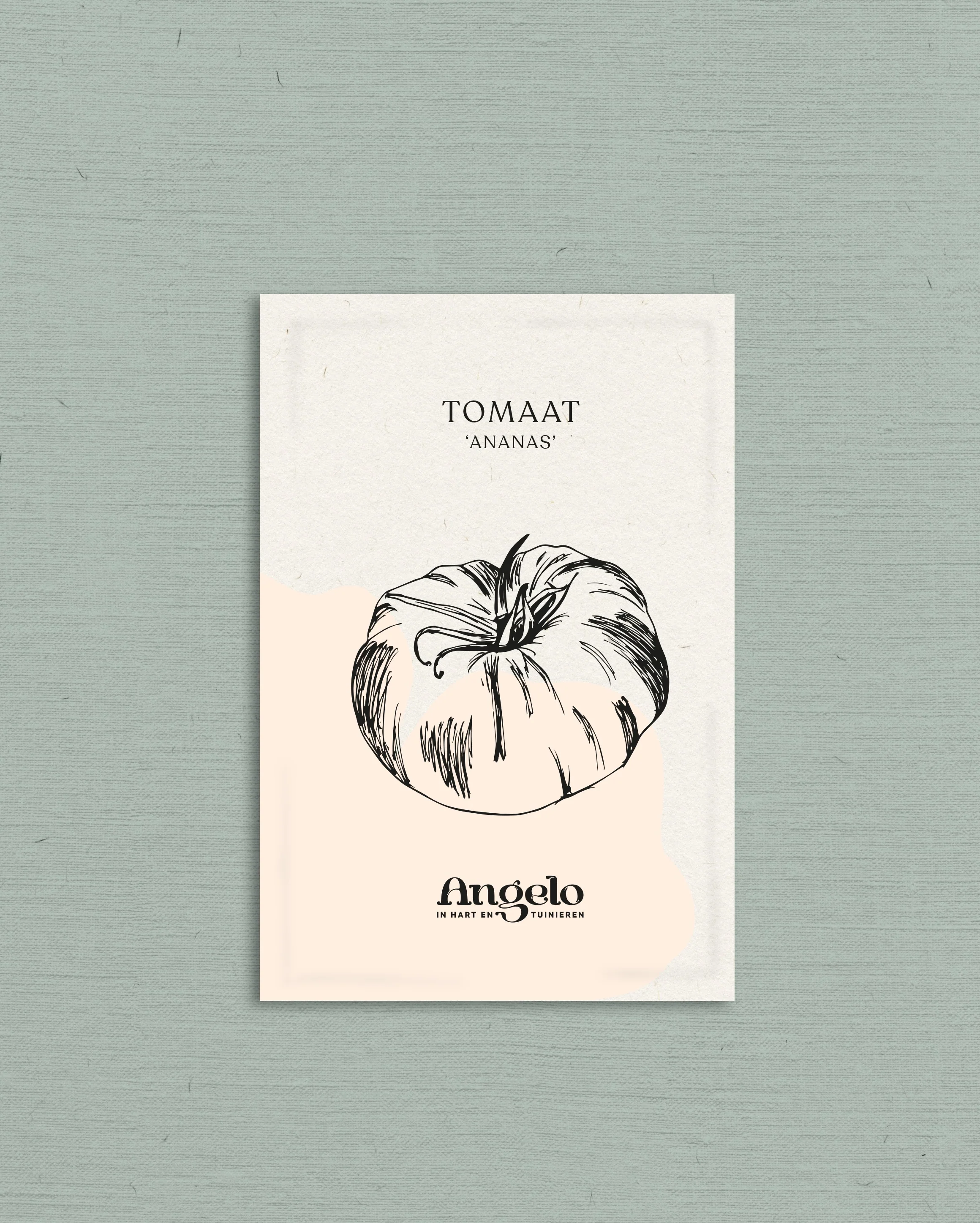 Tomaat 'Ananas' - Image 2