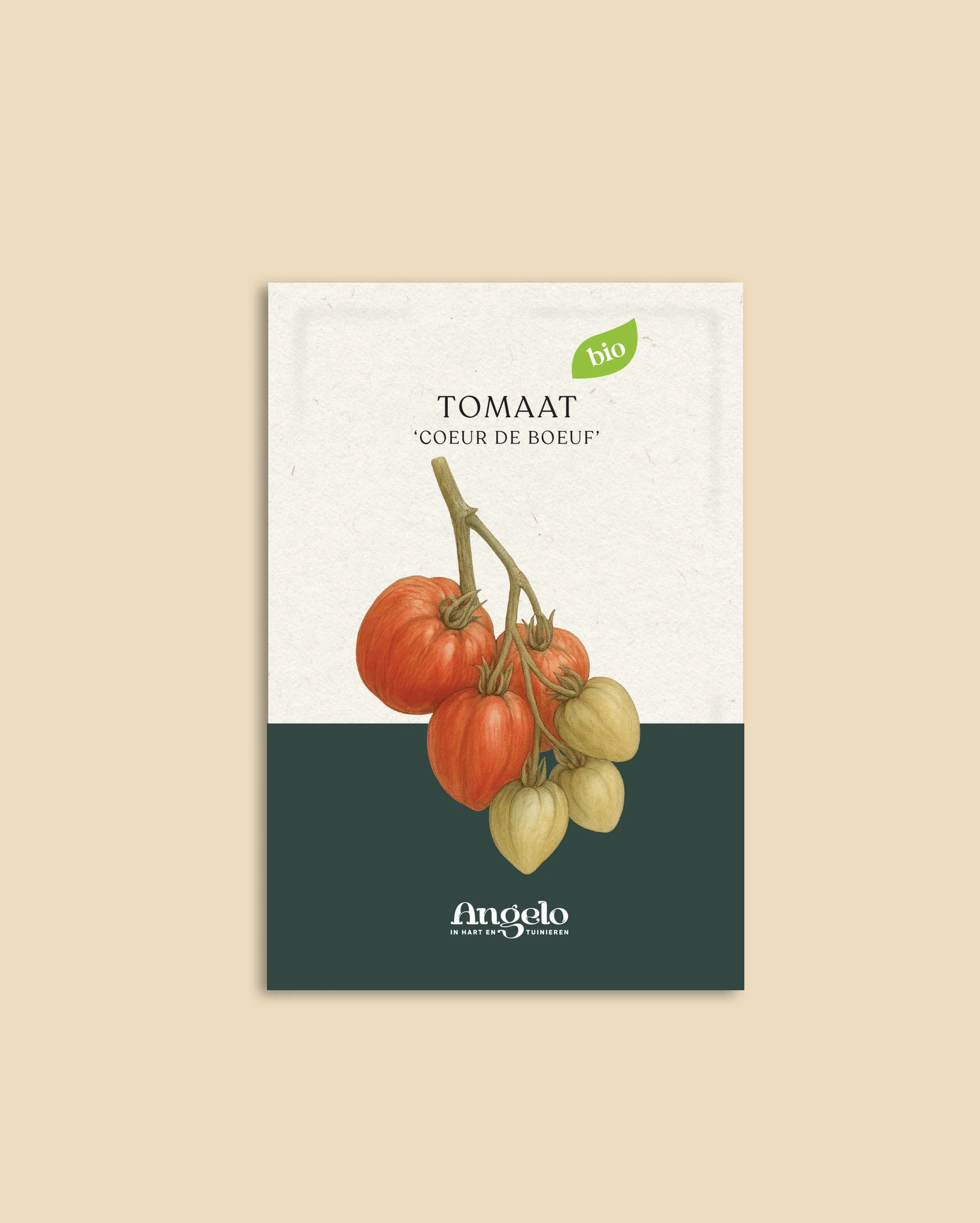 Tomaat 'Coeur de Boeuf' - Image 2