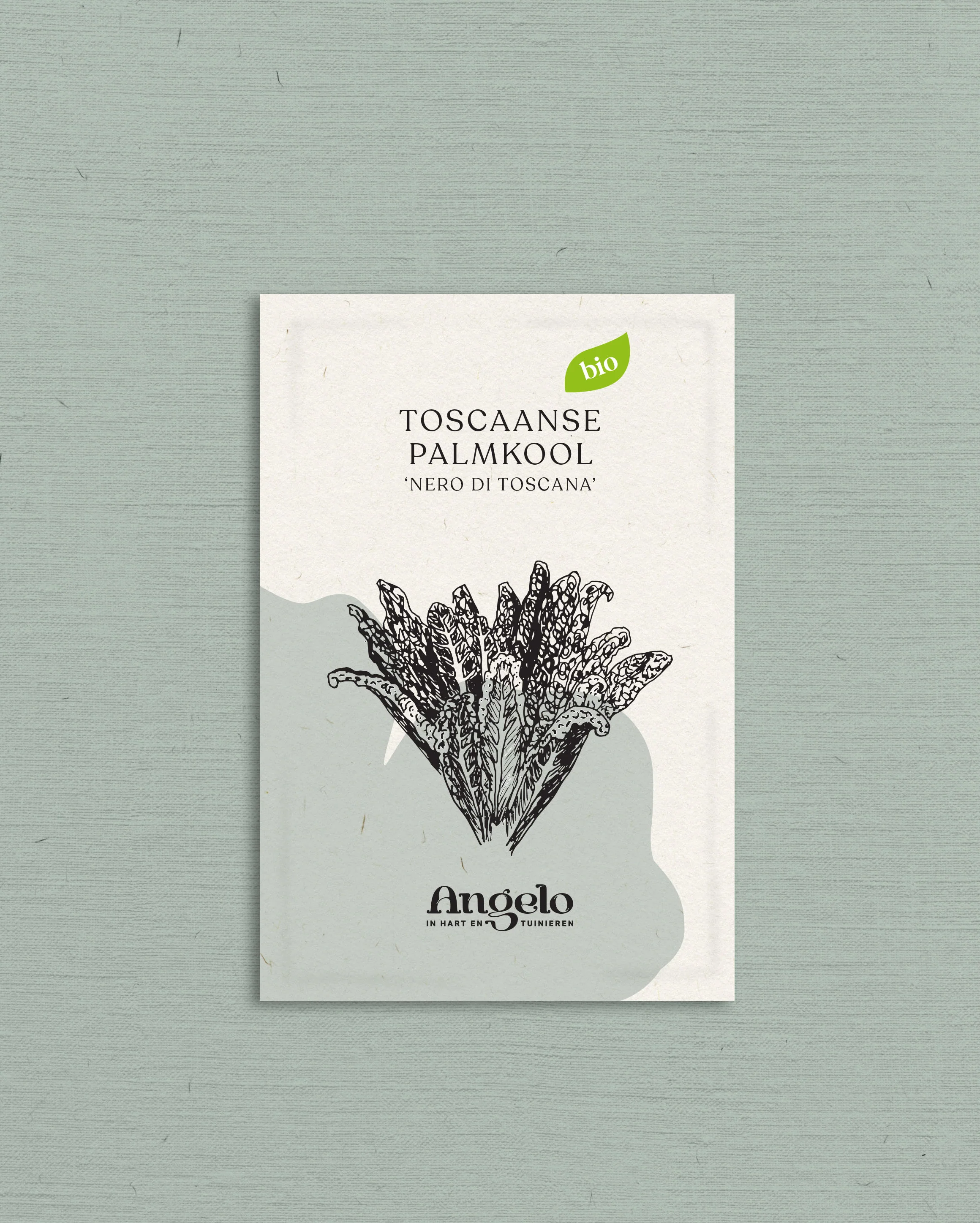 Toscaanse palmkool 'Nero di Toscana' - Image 2