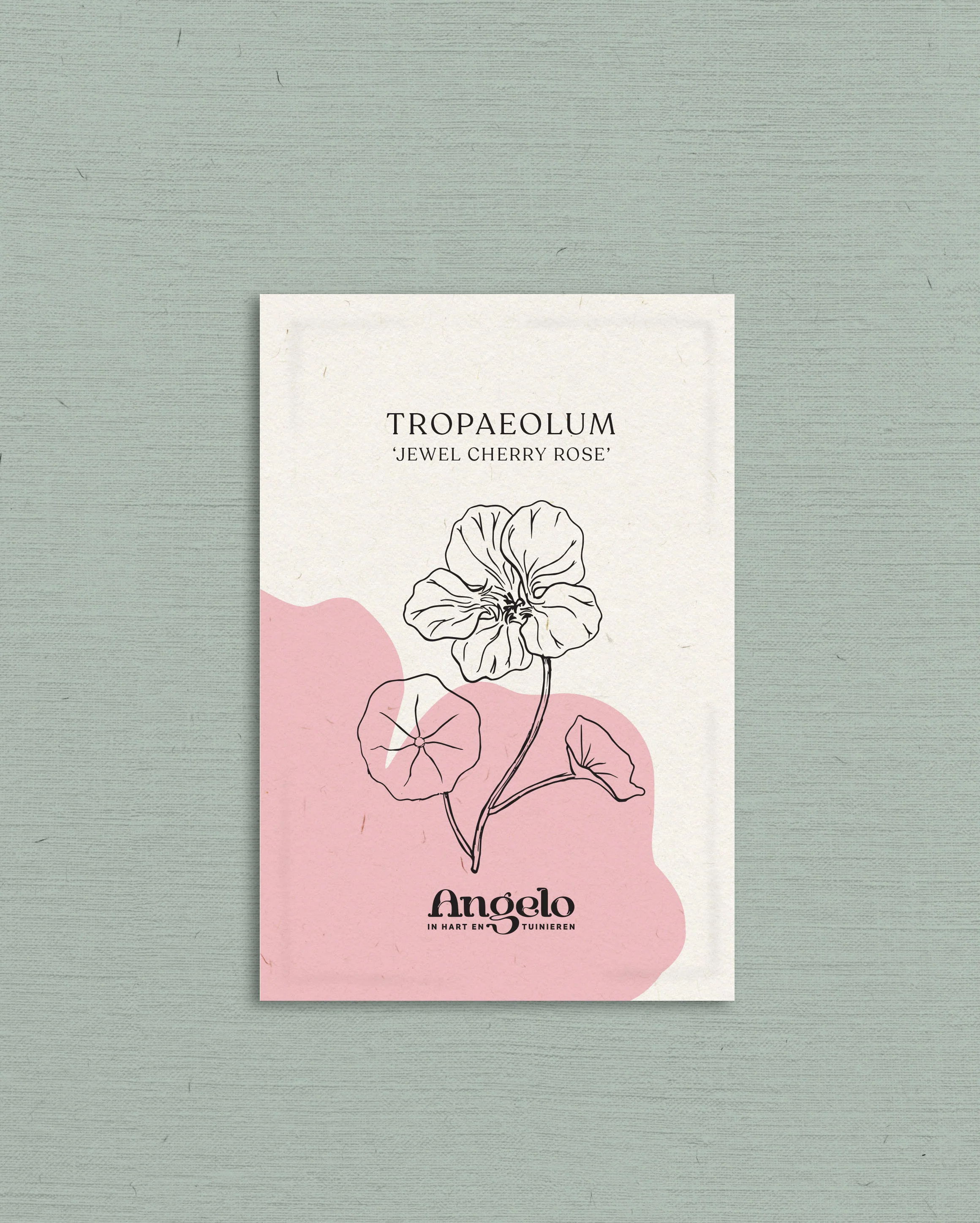 Miniatuur 2