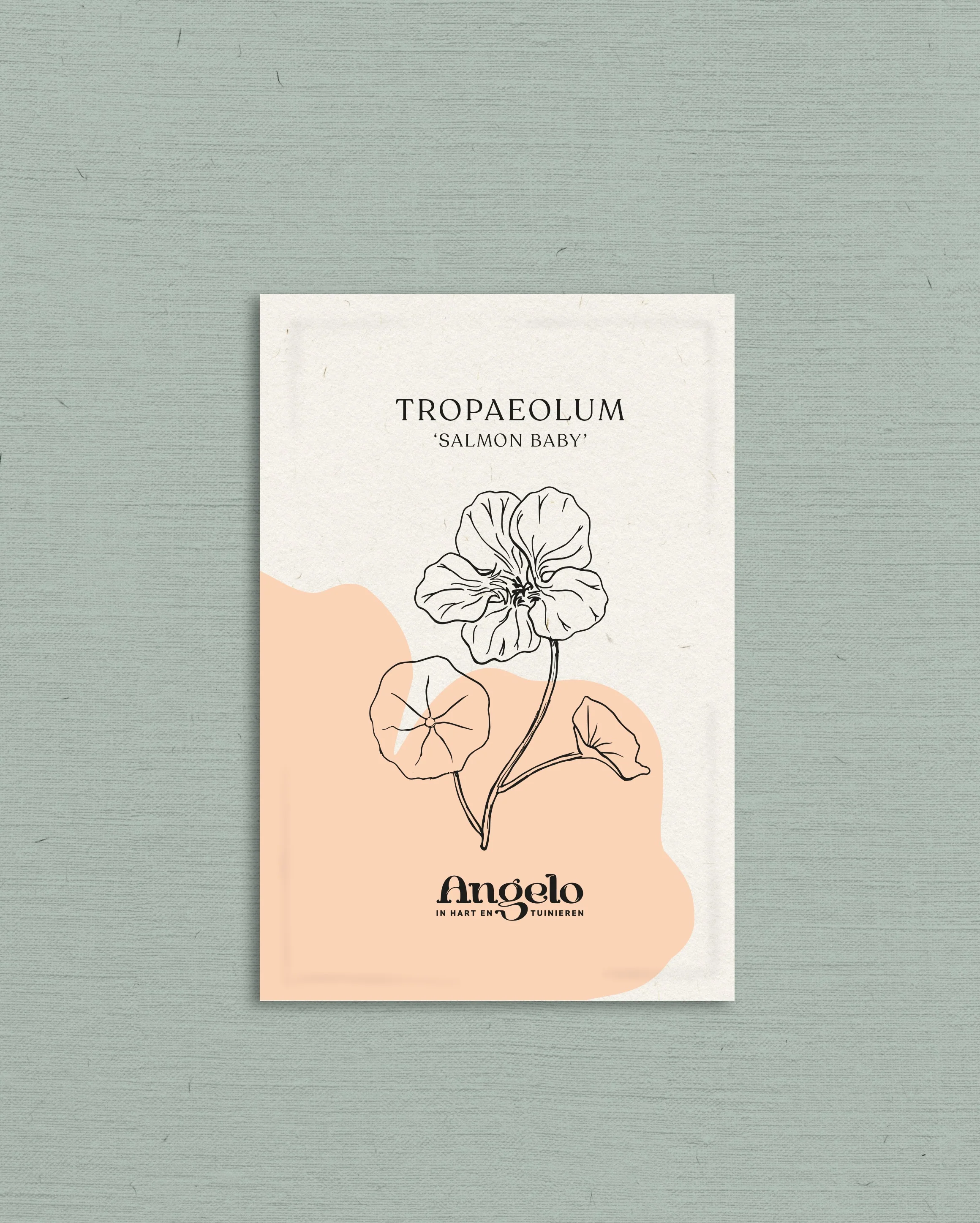 Tropaeolum minus 'Salmon Baby' - Image 2