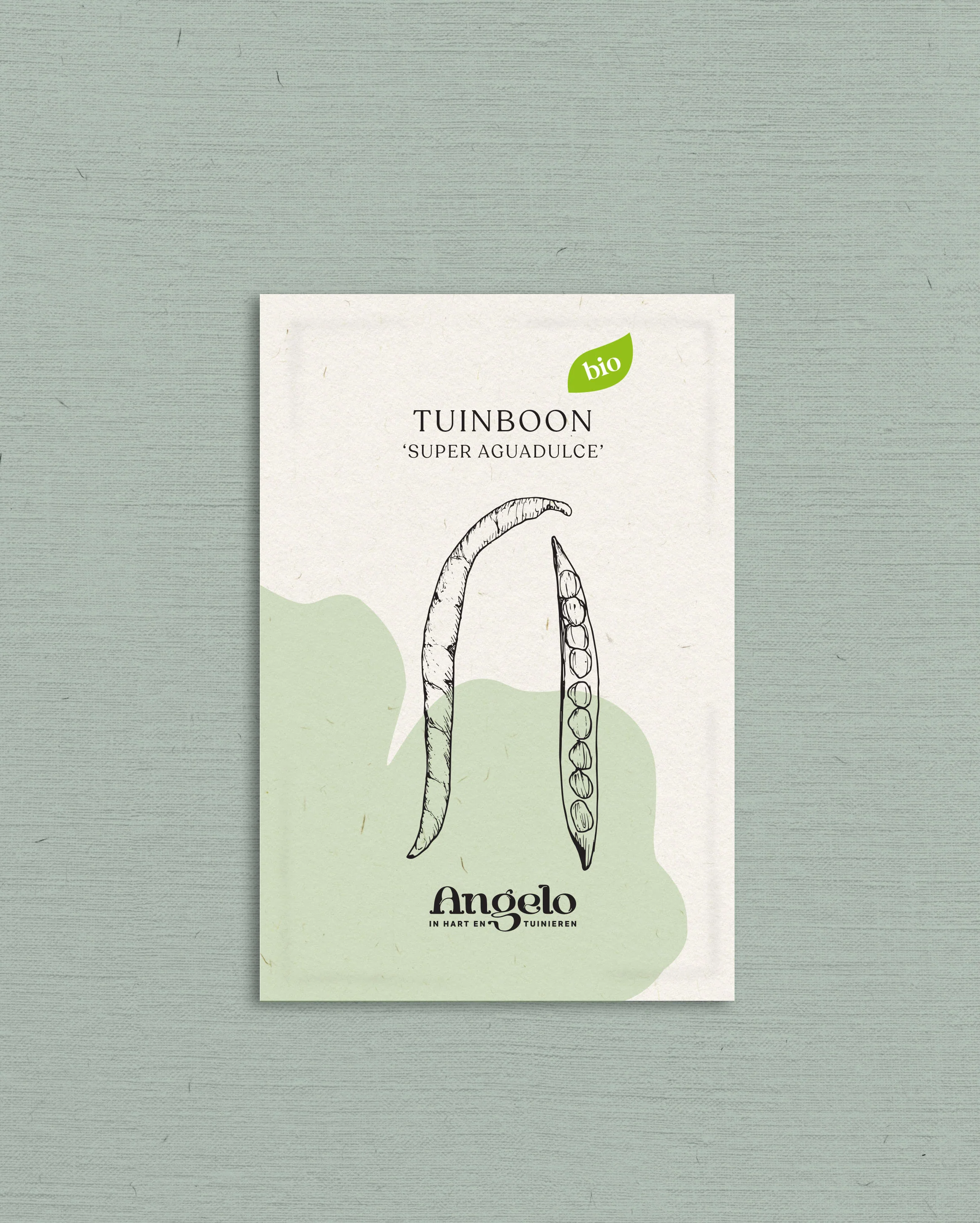 Tuinboon 'Super Aguadulce' - Image 2