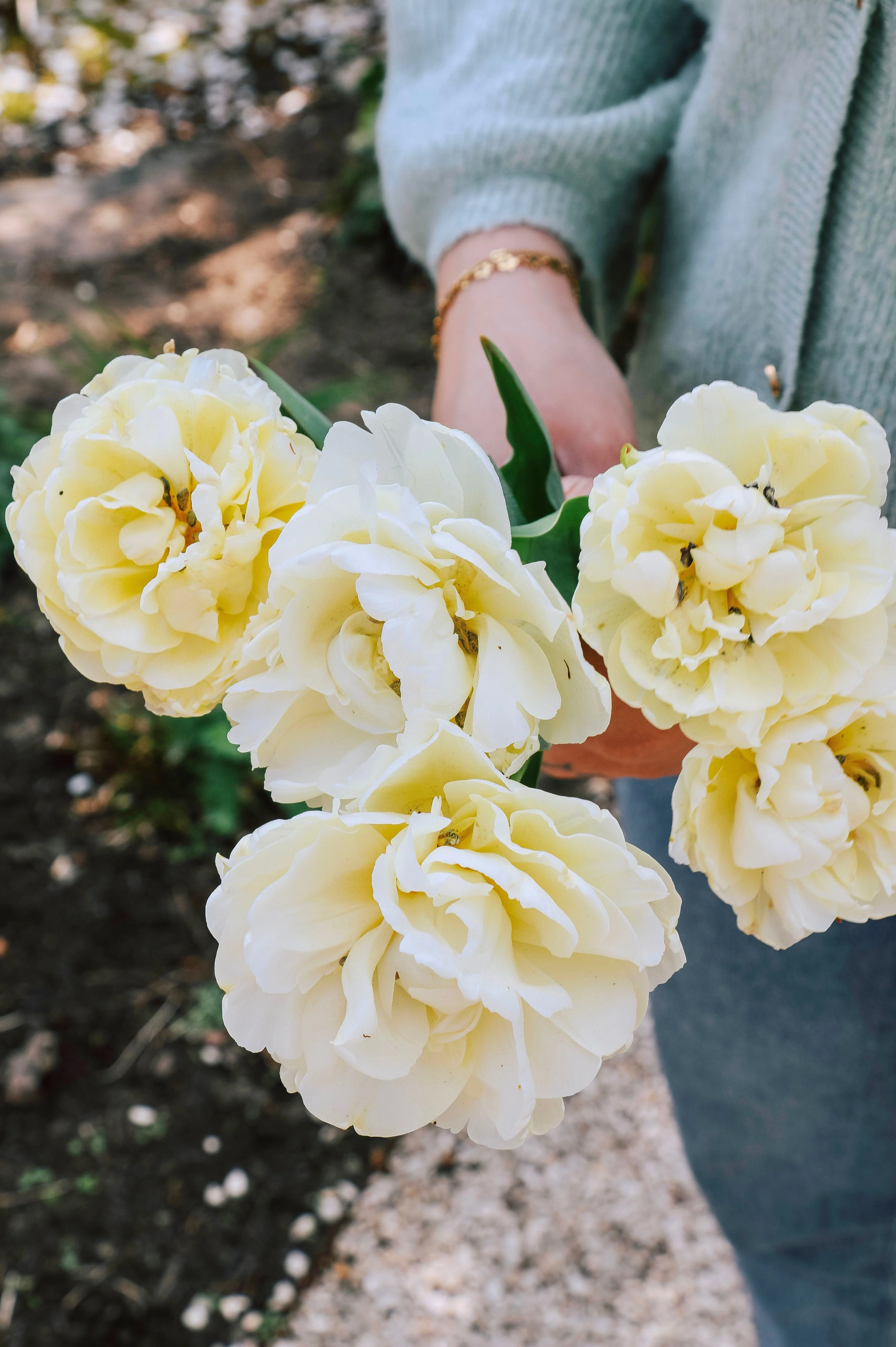 Tulp 'Avant Garde'