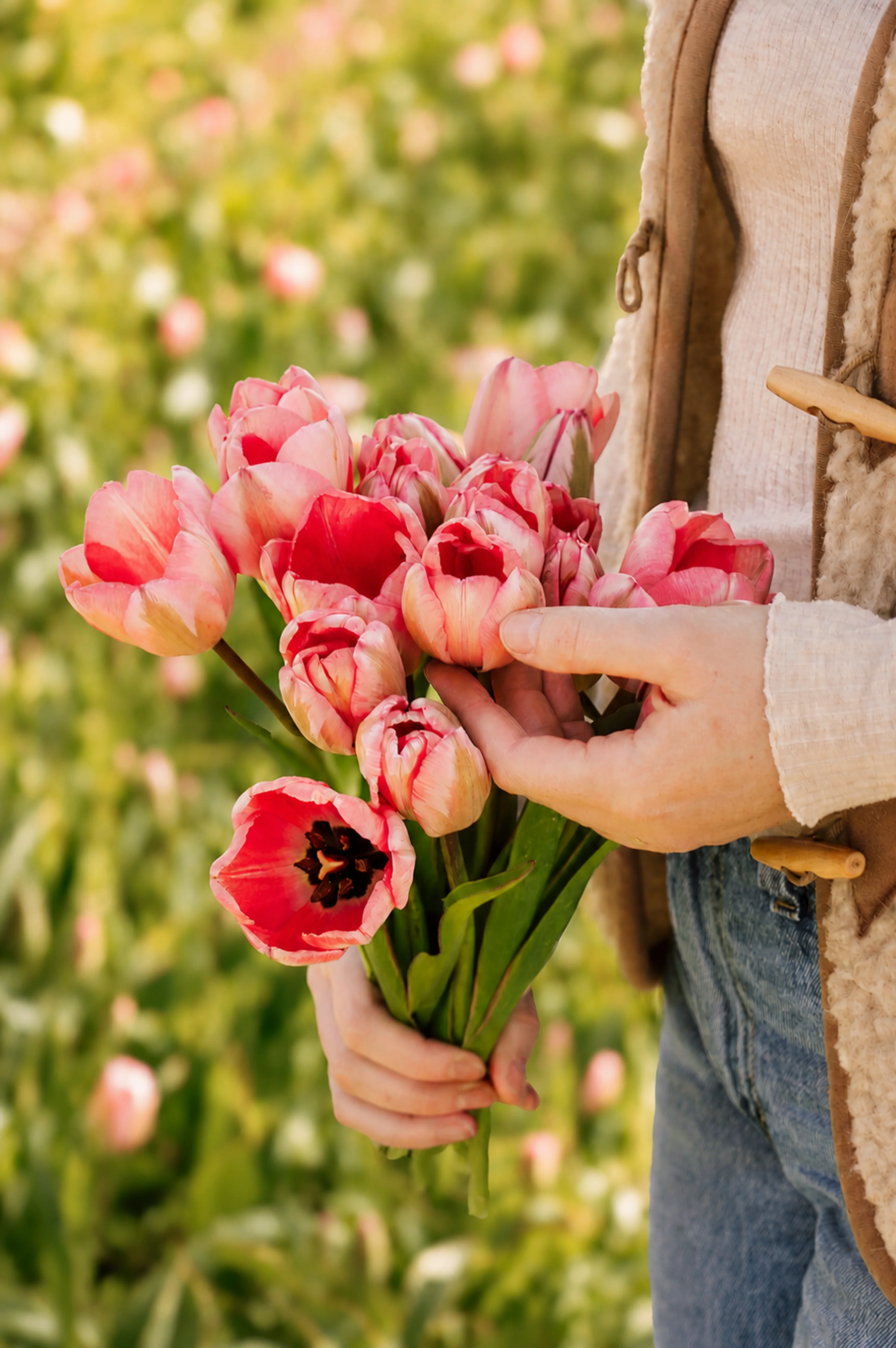 Tulp 'Design Impression' BIO