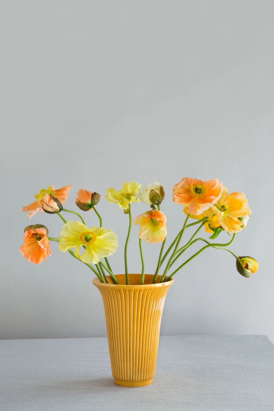 Miniatuur 2