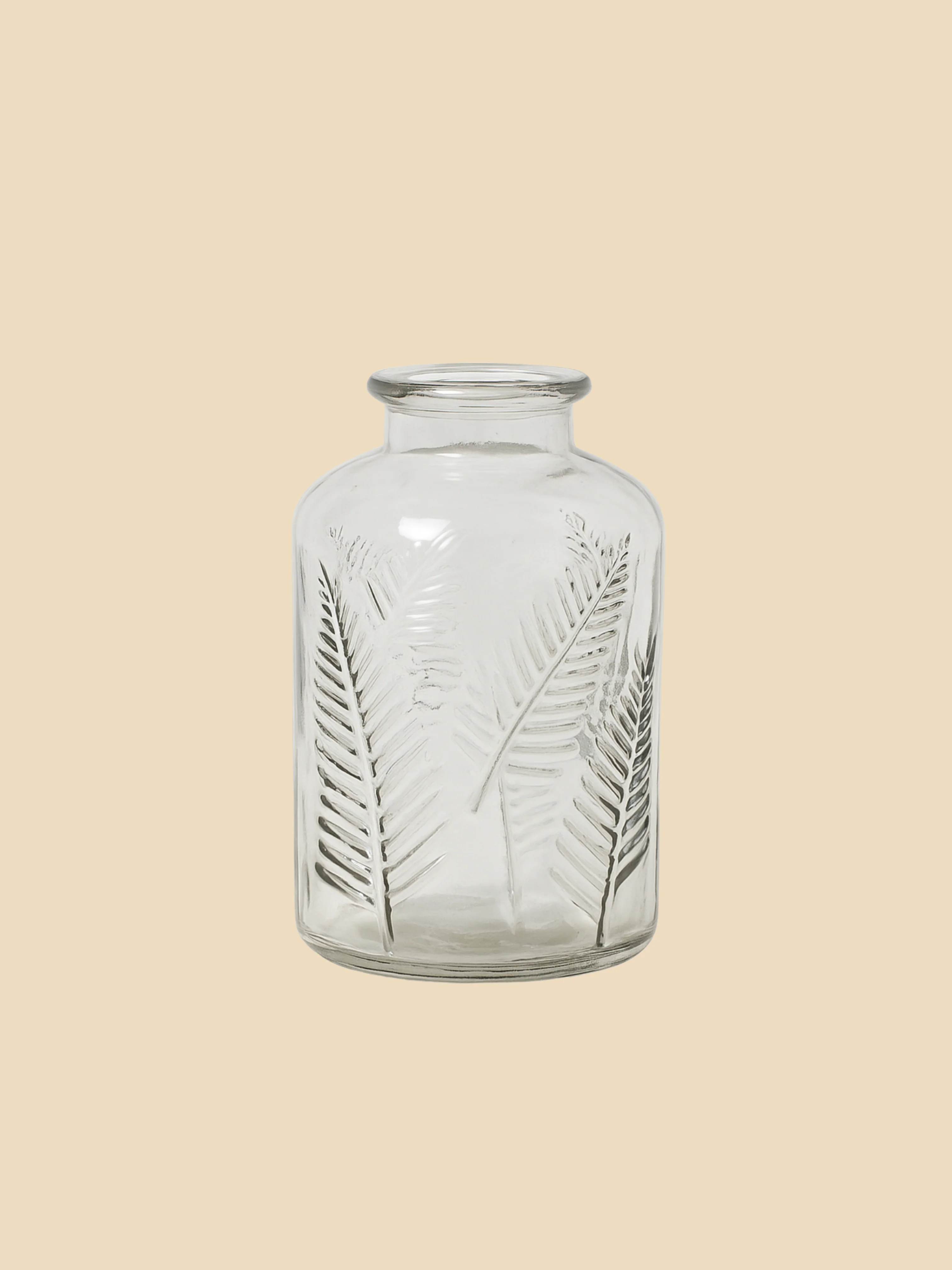 Vaas 'Fern'