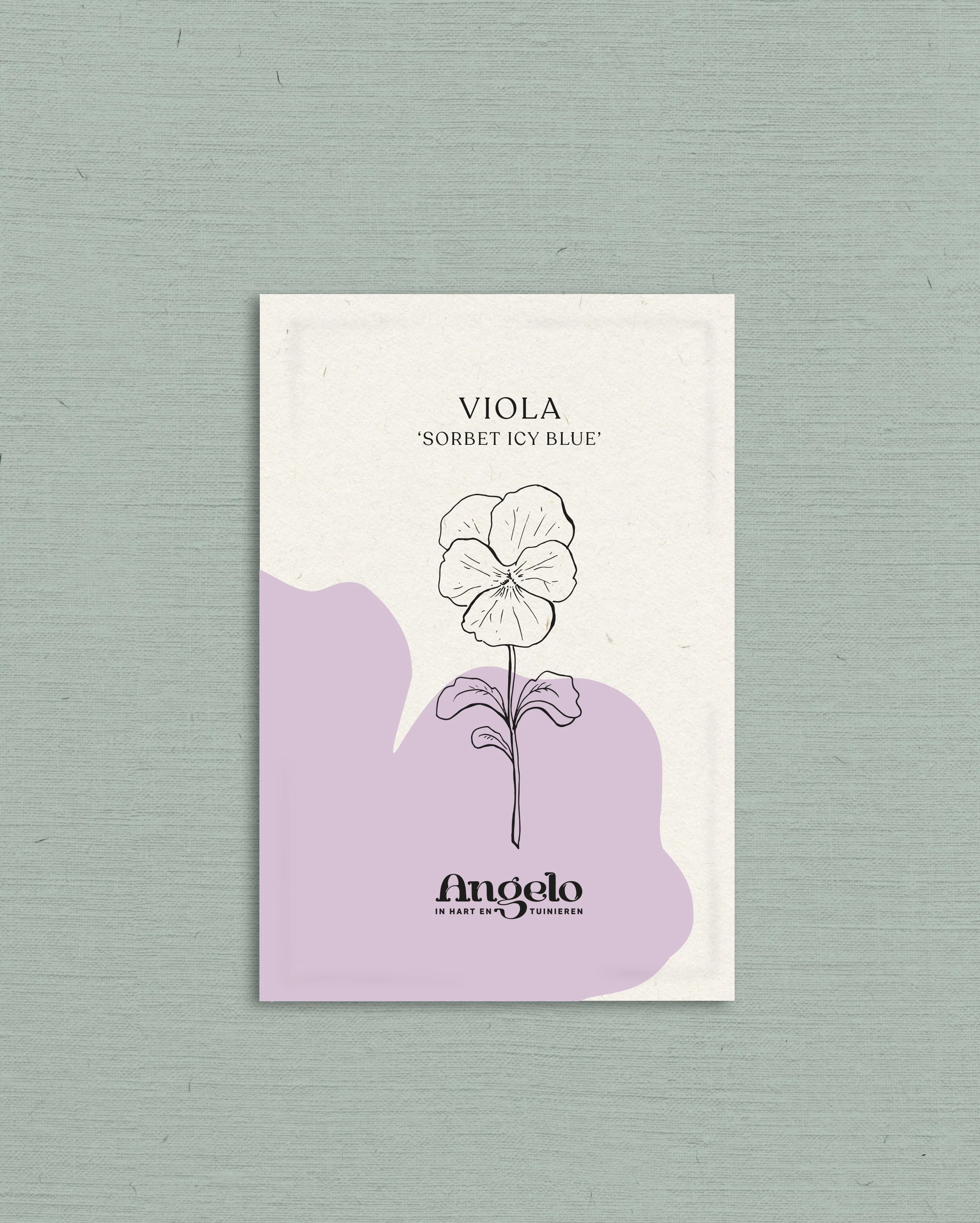 Viola cornuta 'sorbet icy blue' - Image 2