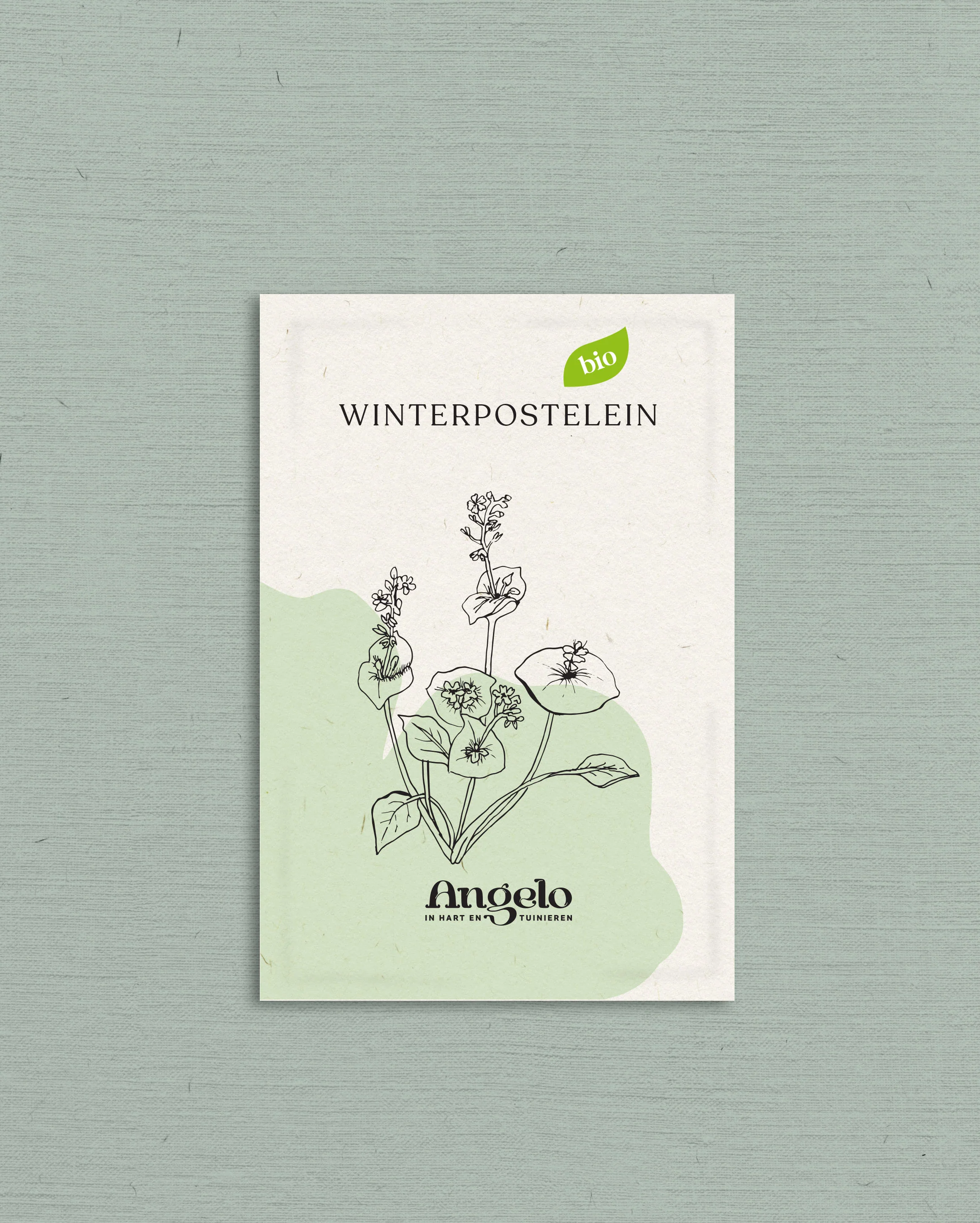 Winterpostelein - Image 2