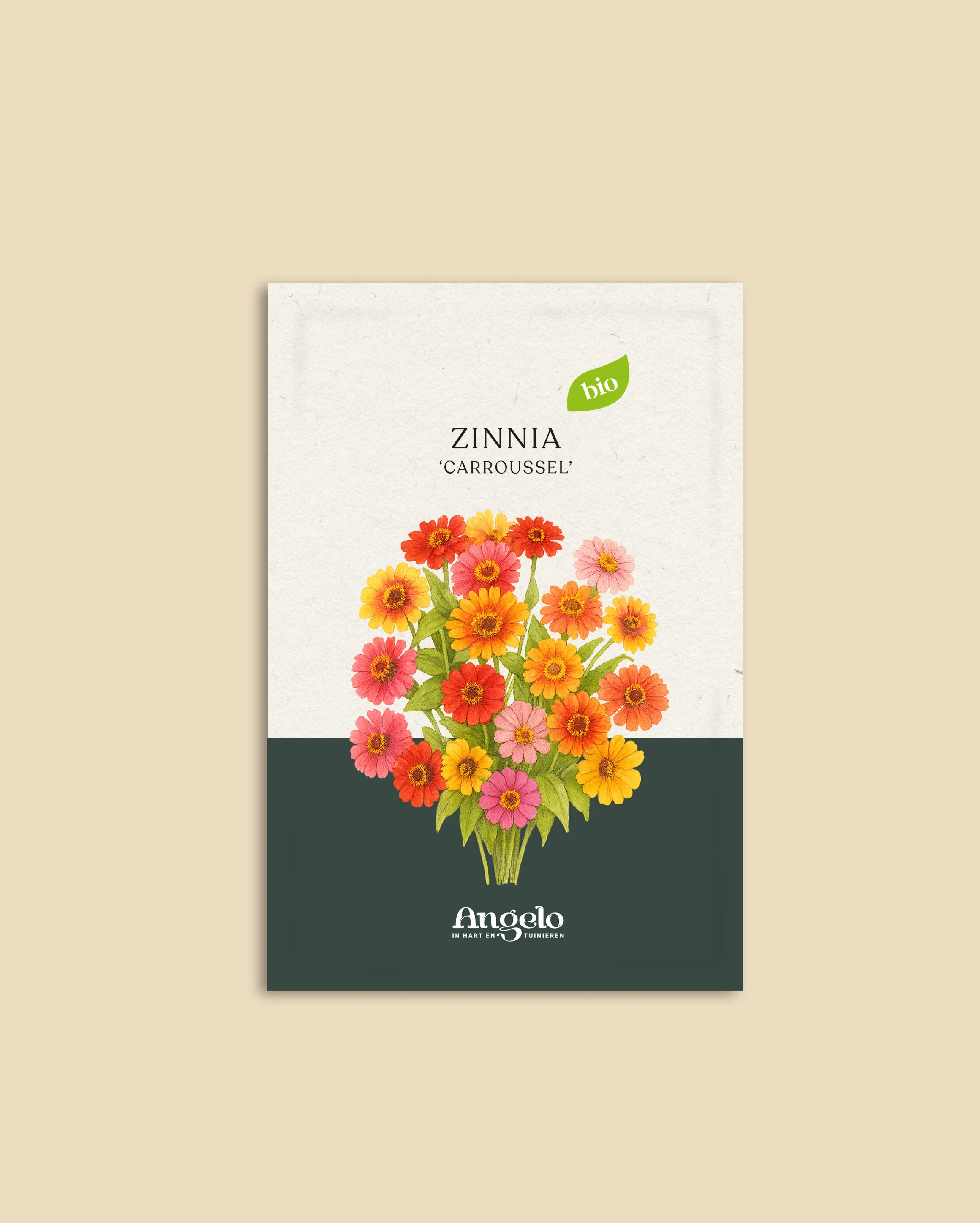 Zinnia elegans 'Carroussel' - Image 2