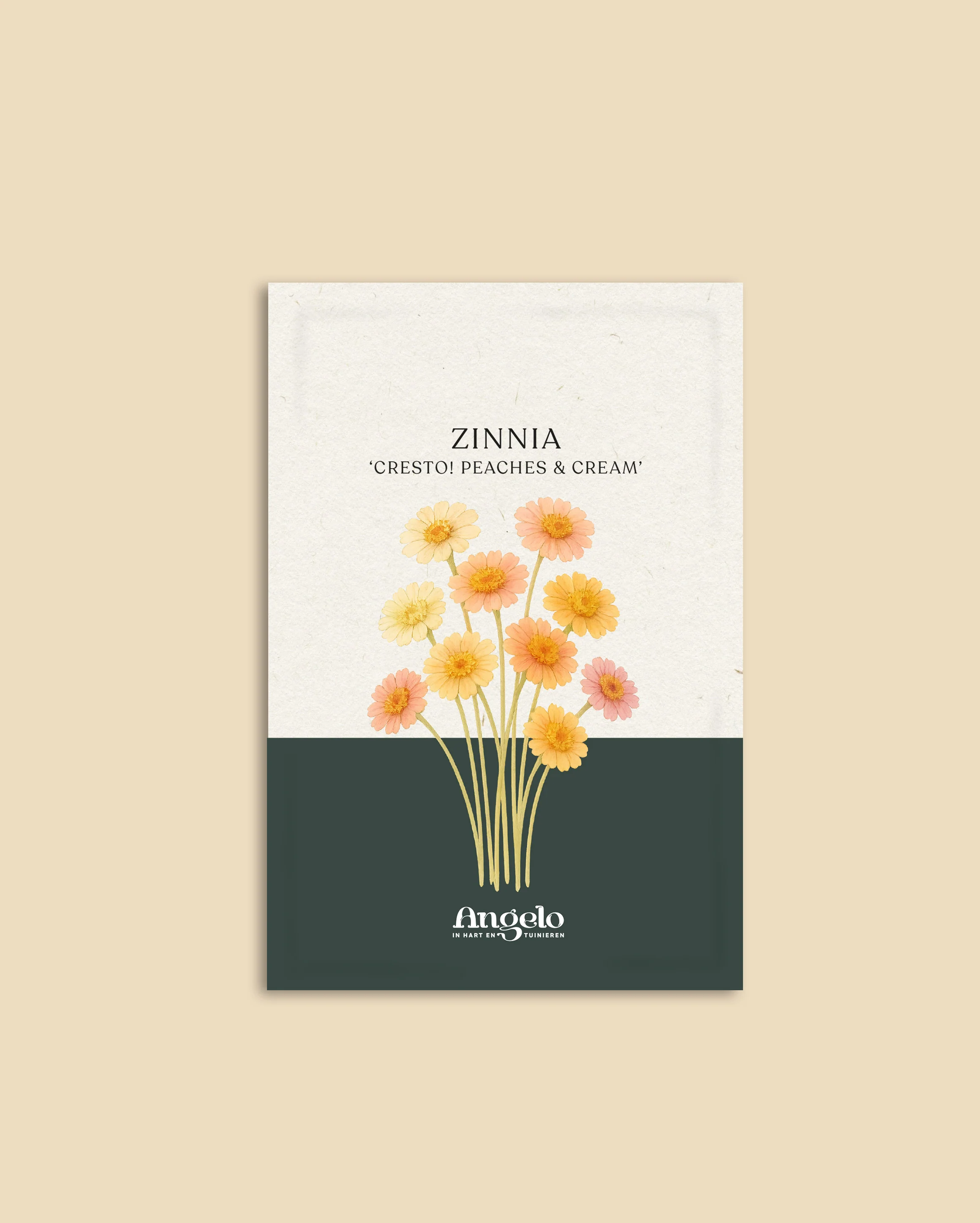 Zinnia elegans 'Cresto! Peaches & Cream' - Image 2