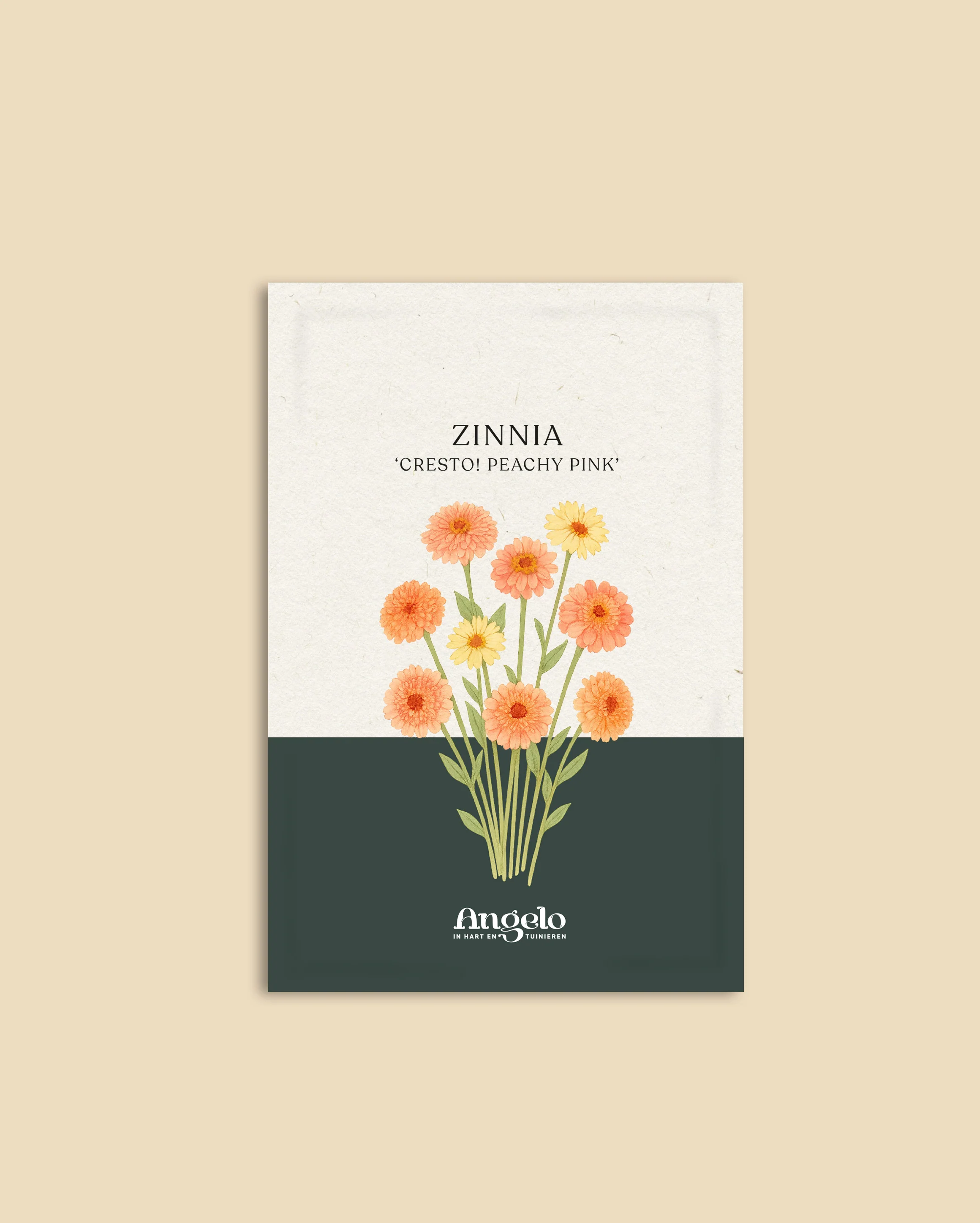 Zinnia elegans 'Cresto! Peachy Pink' - Image 2
