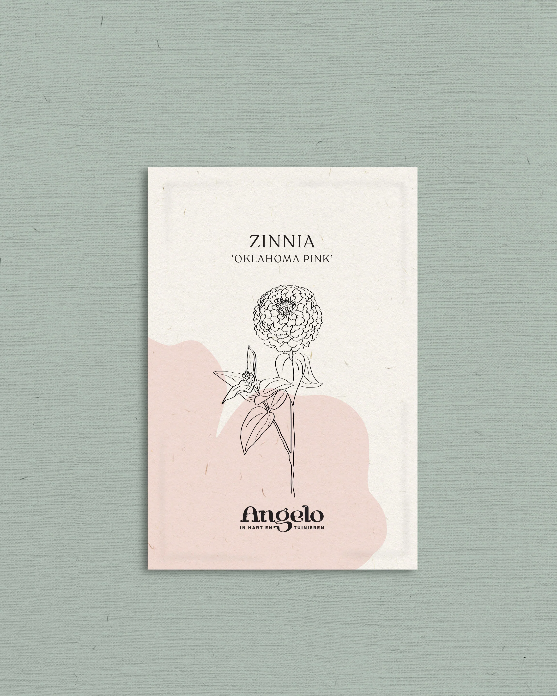Miniatuur 2