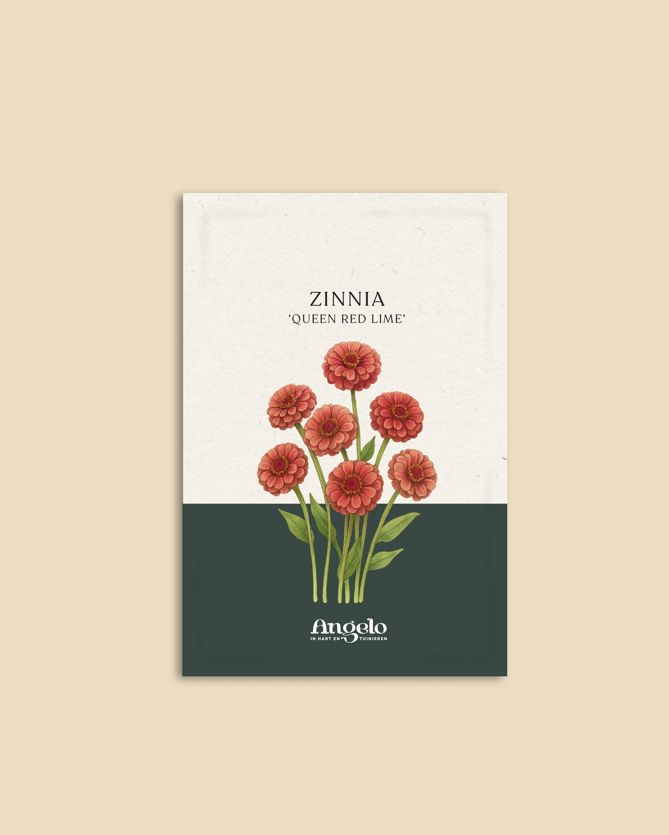 Zinnia Elegans 'Queen Red Lime' - Image 2