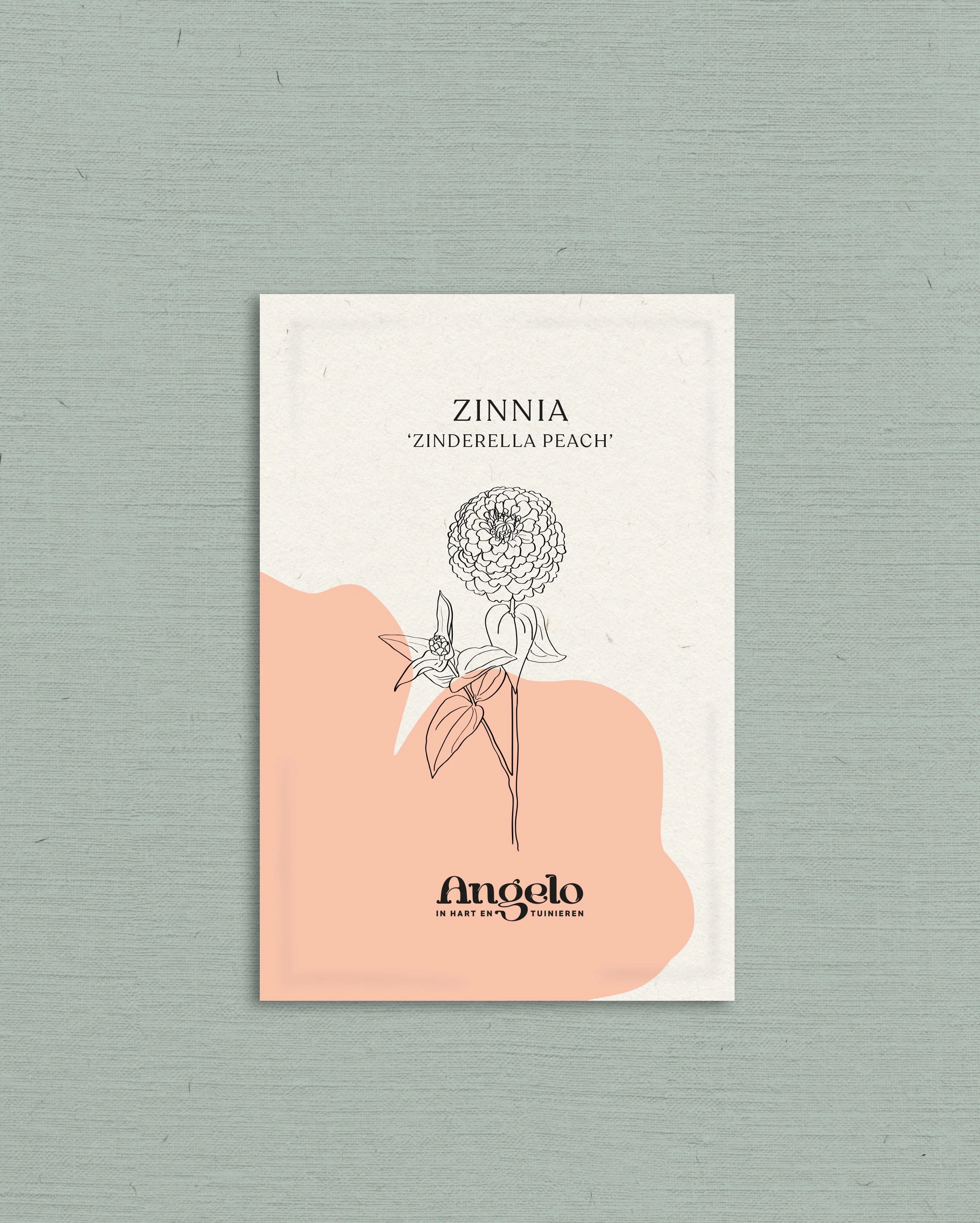 Zinnia elegans 'Zinderella Peach' - Image 2