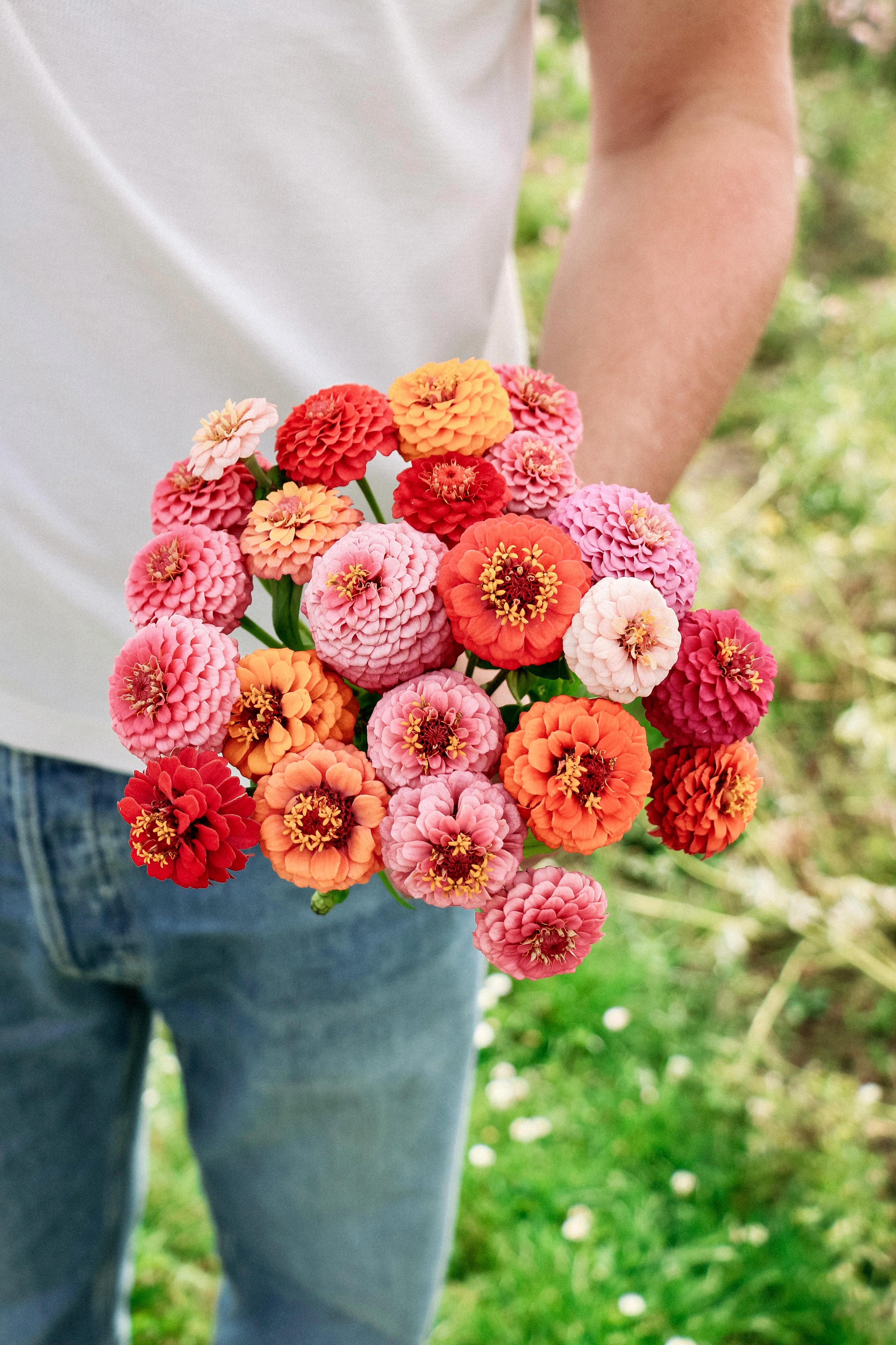 Miniatuur 1