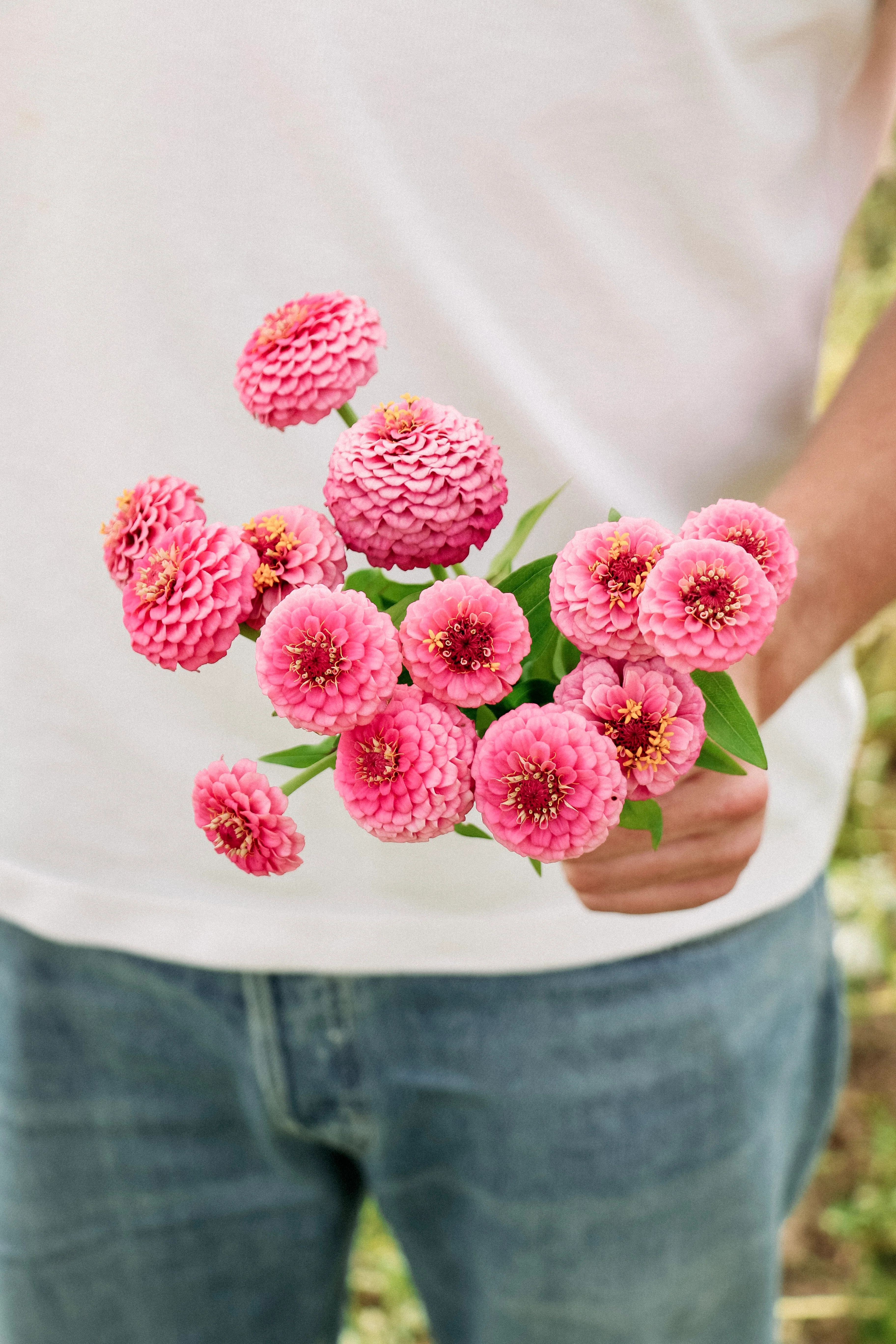 Miniatuur 1
