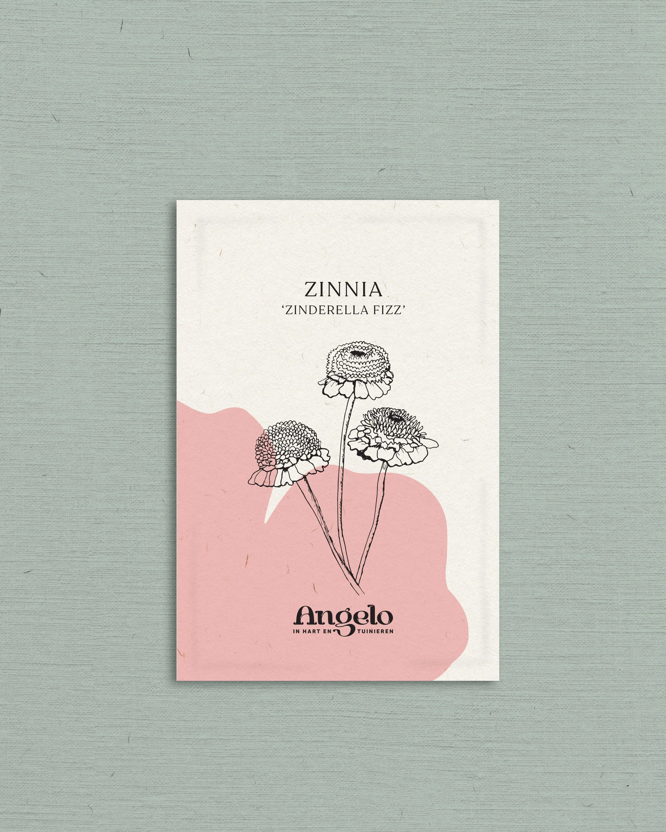 Zinnia Zinderella 'Fizz' - Image 2