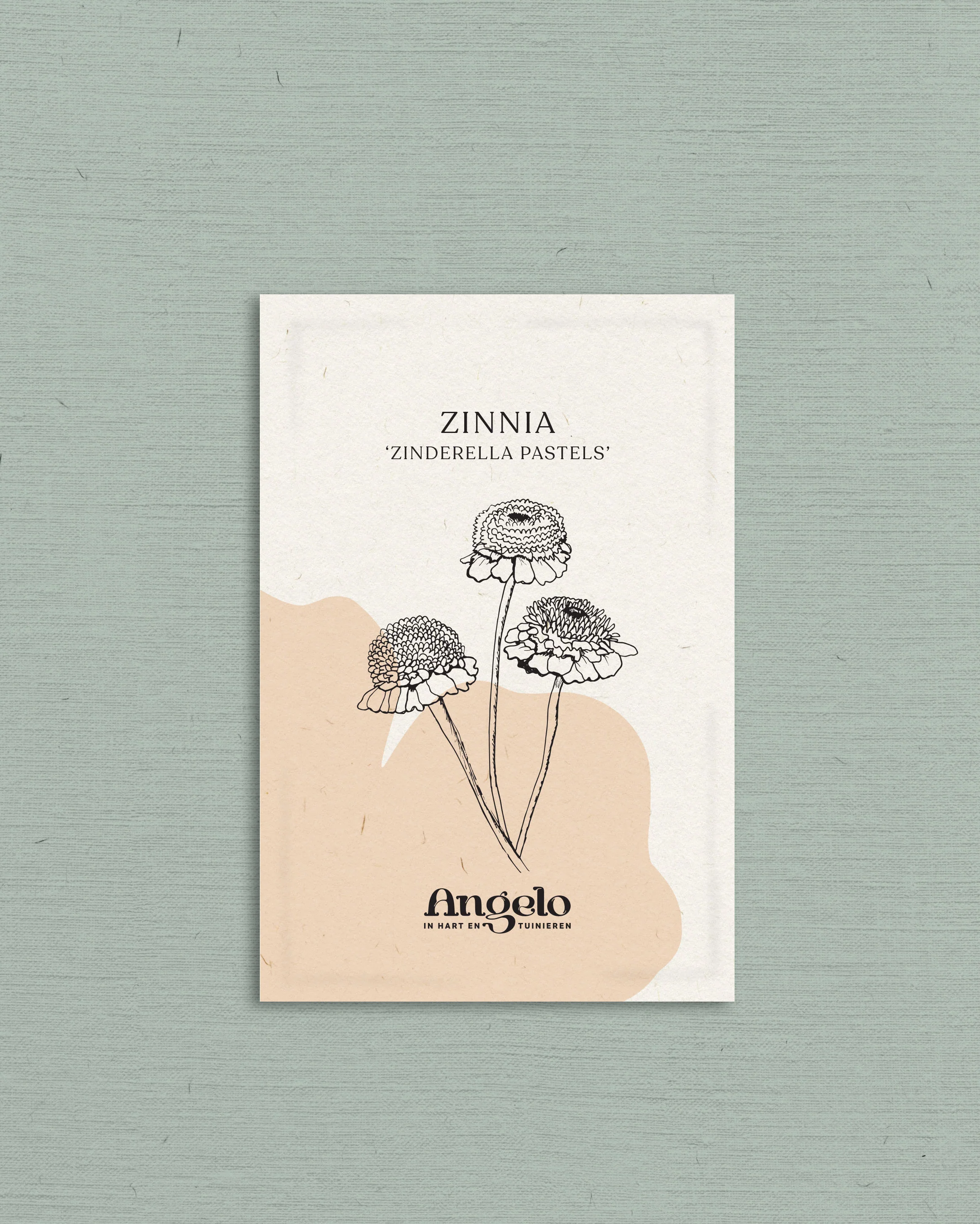 Zinnia Zinderella 'Pastels' - Image 2